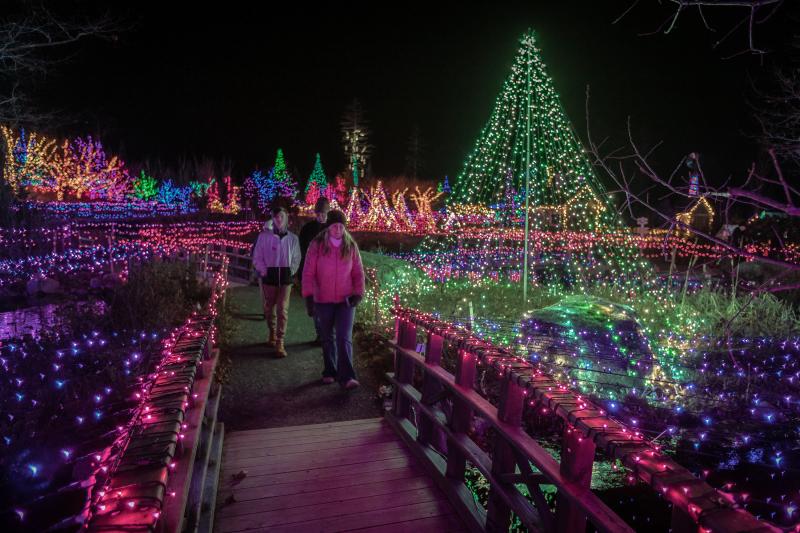 Gardens Aglow returns as a walking tour